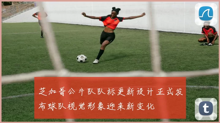芝加哥公牛队队标更新设计正式发布球队视觉形象迎来新变化