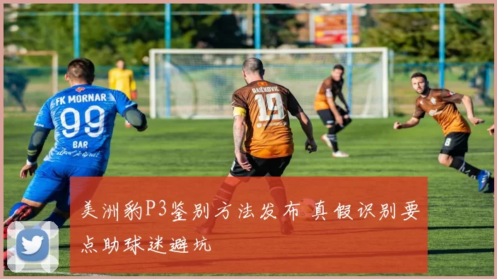 美洲豹P3鉴别方法发布 真假识别要点助球迷避坑