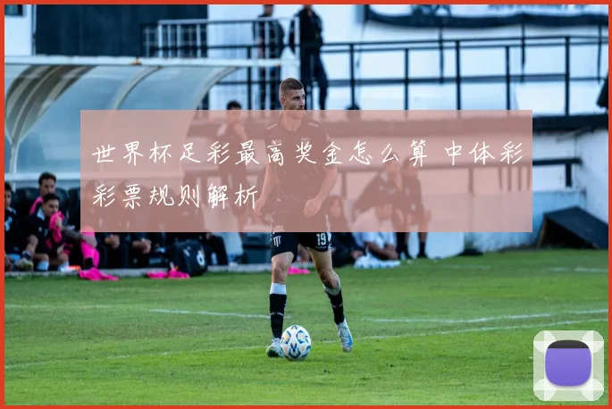 世界杯足彩最高奖金怎么算 中体彩彩票规则解析