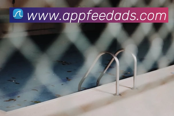 世界杯官方网络平台平台生态图